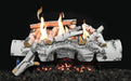 Grand Canyon Aspen Birch 30" White Ventless Gas Logs Grand Canyon Dreamwood Living
