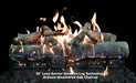 Grand Canyon Lava Front View 36" Variable Electronic Ignition Natural Gas Vented Burner Grand Canyon Dreamwood Living