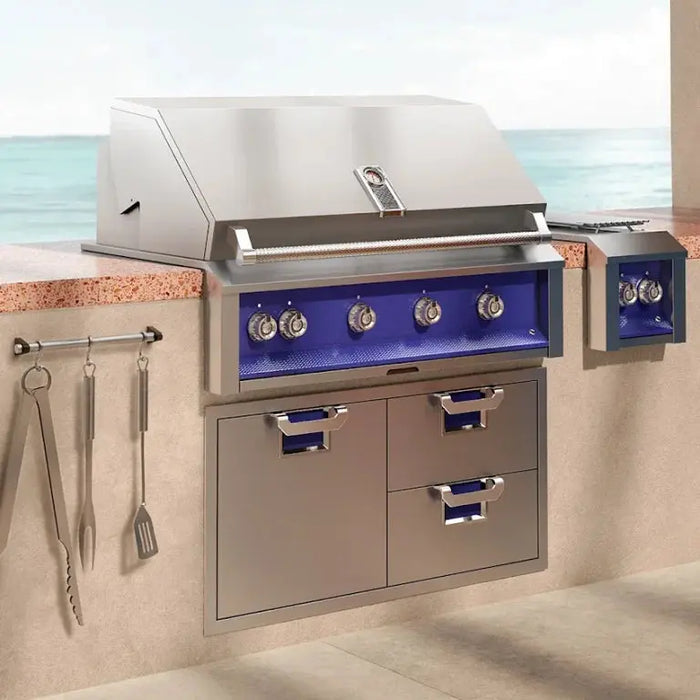 Hestan 42″ Aspire Built-In Grill with Rotisserie (EABR42 / EMBR42) Hestan Dreamwood Living