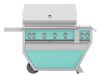 Hestan 42″ Outdoor Deluxe Grill with Double Side Burner (GABR42CX2 / GMBR42CX2) Hestan Dreamwood Living