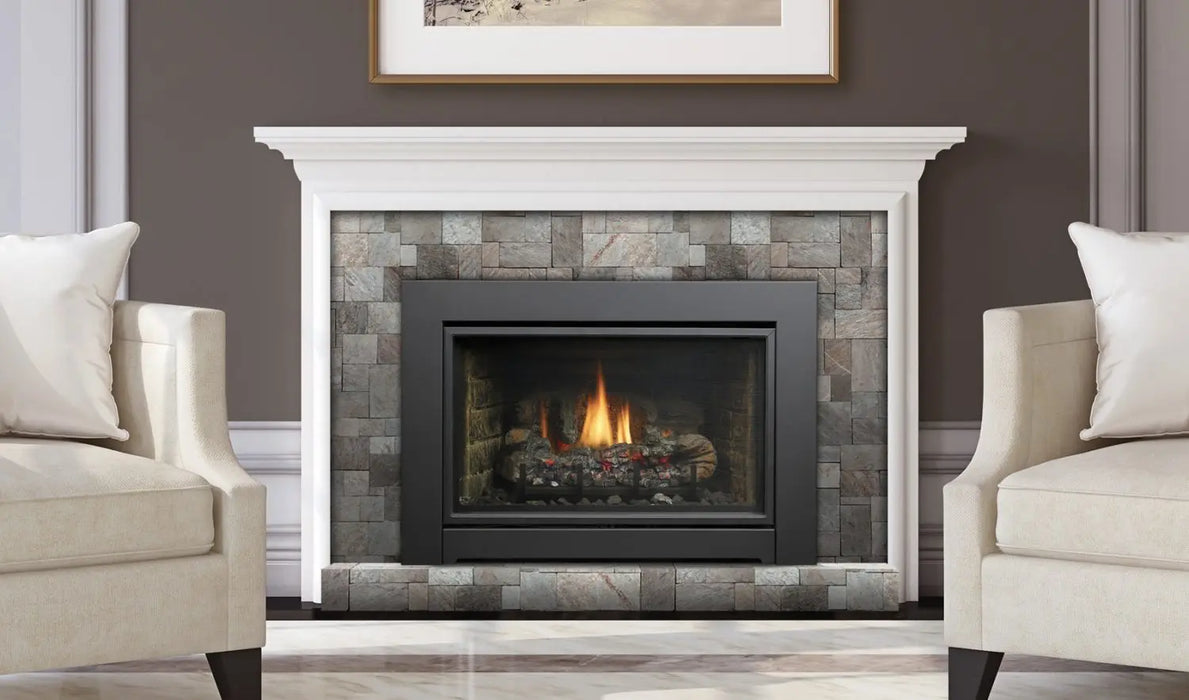 Kingsman 24" IDV24 Direct Vent Gas Fireplace Insert