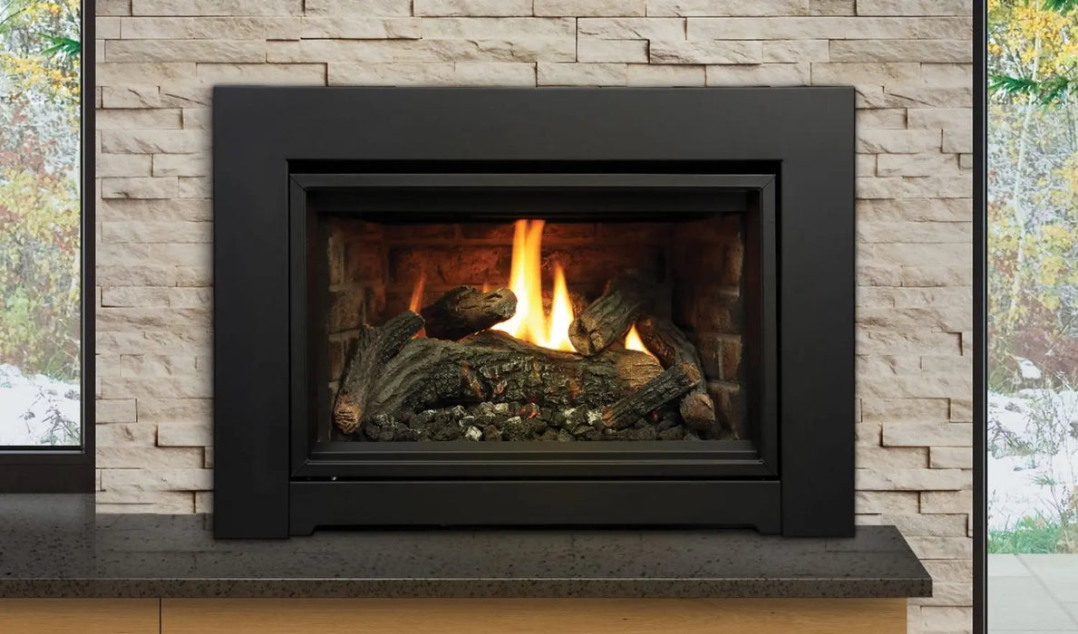 Kingsman 24" IDV24 Direct Vent Gas Fireplace Insert