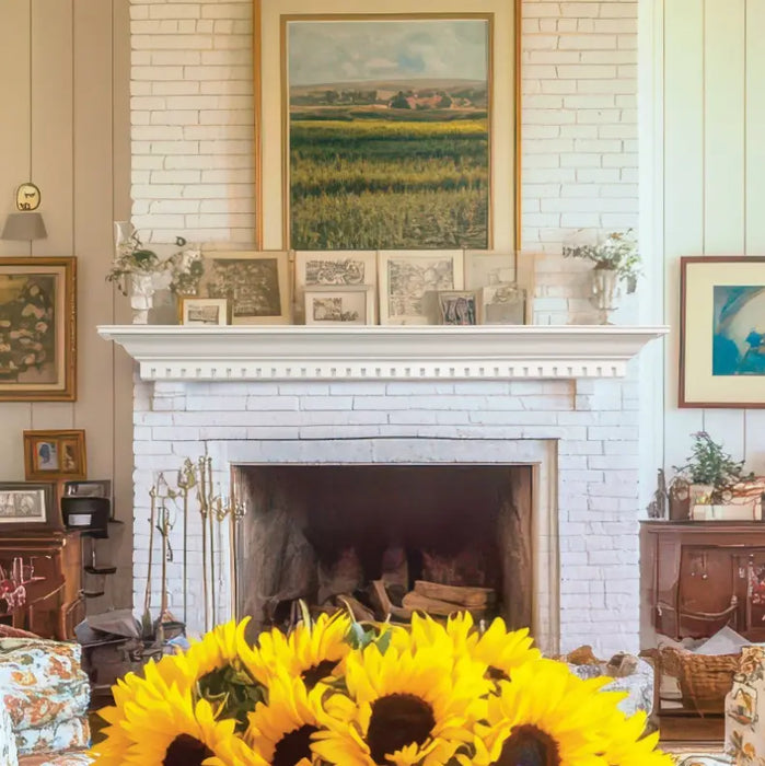 Lexington Federal Series Fireplace Non-Combustible Mantel Lexington Hearth Dreamwood Living