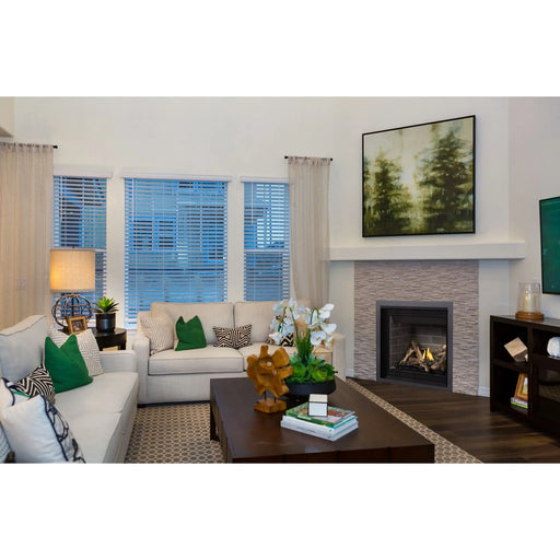 Napoleon Altitude 36 Direct Vent Gas Fireplace Napoleon Hearth