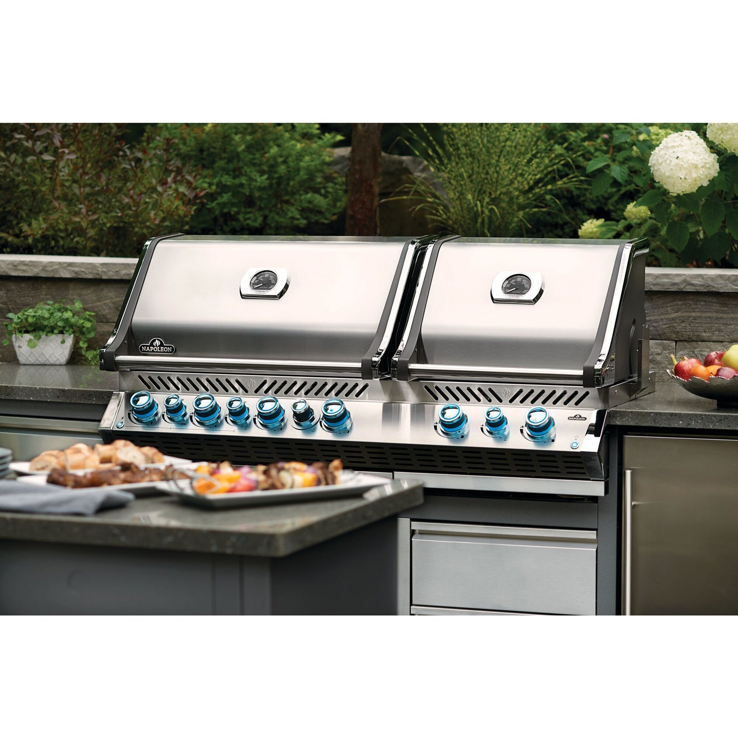 Napoleon Grills
