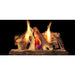 Majestic Campfire Fiber Gas Log Set with Stainless Steel Burner and Hearth Kit Majestic