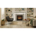 Majestic Contemporary Rectangular Door Front for Quartz Platinum Fireplace Majestic