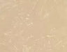 Majestic Design Series Set 3 Beige Stone Surround (Must Order In Multiples of 6) Majestic