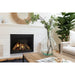 Majestic Meridian Platinum 36" Top/Rear Direct Vent Gas Fireplace - installed in a white brick wall beside a plant