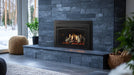 Majestic Ruby Platinum 30" Direct Vent Gas Insert Majestic Dreamwood Living