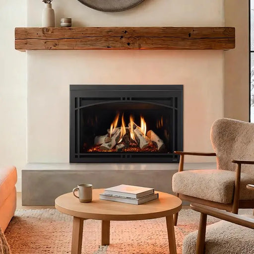 Majestic Ruby Platinum 35" Traditional Direct Vent Gas Insert Majestic Dreamwood Living