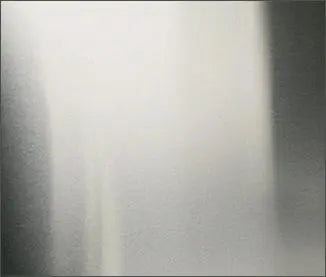 Majestic Stainless Steel Liner Kit for Courtyard 36" Gas Fireplace Majestic