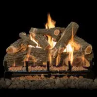 Mason-Lite Pure Burn EPA Phase II Qualified Burner - QWBP/N Mason-Lite Dreamwood Living