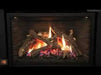 Montigo Illume 34FID Traditional Direct Vent Gas Fireplace Insert Montigo Dreamwood Living