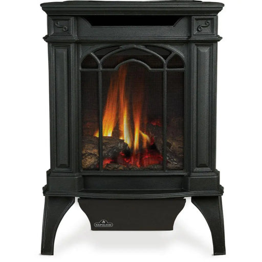 Napoleon Arlington Direct Vent Gas Stove Napoleon Hearth Dreamwood Living
