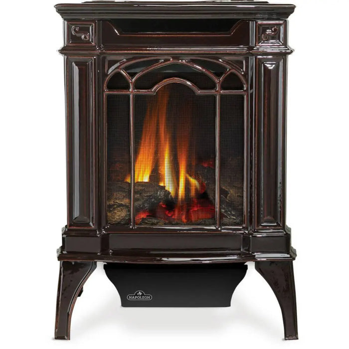 Napoleon Arlington Direct Vent Gas Stove Napoleon Hearth Dreamwood Living