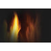 Napoleon Arlington Direct Vent Gas Stove Napoleon Hearth Dreamwood Living
