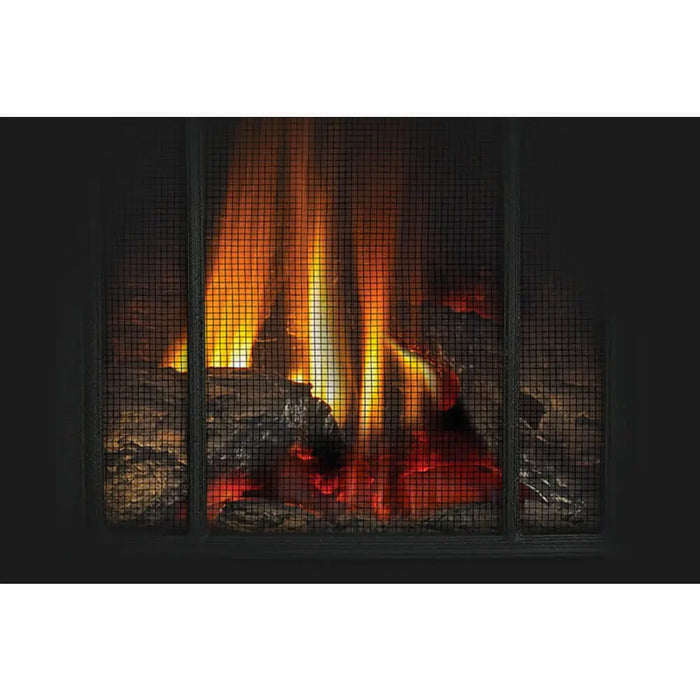 Napoleon Arlington Direct Vent Gas Stove Napoleon Hearth Dreamwood Living