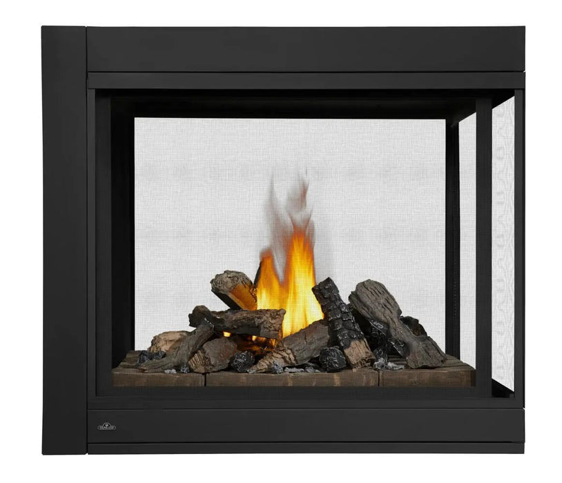 Napoleon Ascent Multi-View Direct Vent Gas Fireplace Napoleon Hearth Dreamwood Living