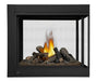 Napoleon Ascent Multi-View Direct Vent Gas Fireplace Napoleon Hearth Dreamwood Living