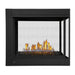 Napoleon Ascent Multi-View Direct Vent Gas Fireplace Napoleon Hearth Dreamwood Living