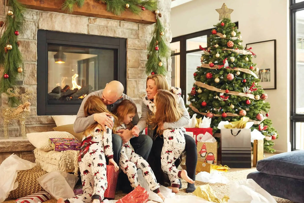 Napoleon Ascent Multi-View Direct Vent Gas Fireplace Napoleon Hearth Dreamwood Living