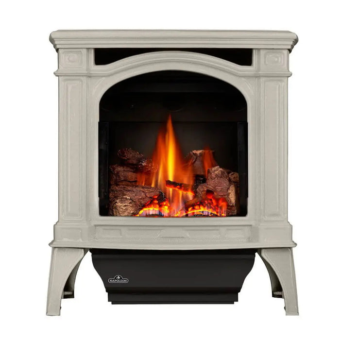Napoleon Bayfield Direct Vent Gas Stove Napoleon Hearth Dreamwood Living