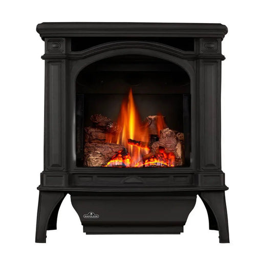 Napoleon Bayfield Direct Vent Gas Stove Napoleon Hearth Dreamwood Living