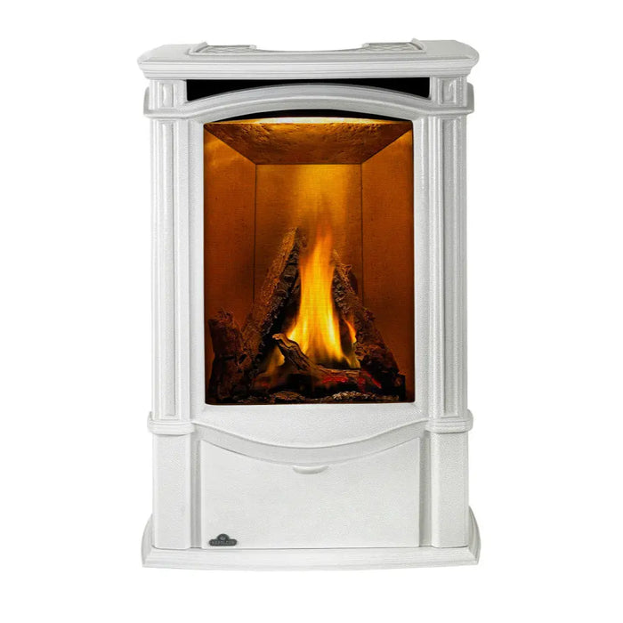 Napoleon Castlemore Direct Vent Gas Stove Napoleon Hearth Dreamwood Living
