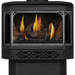 Napoleon Doors and Accessories for Direct Vent Gas Stoves Napoleon Hearth Dreamwood Living