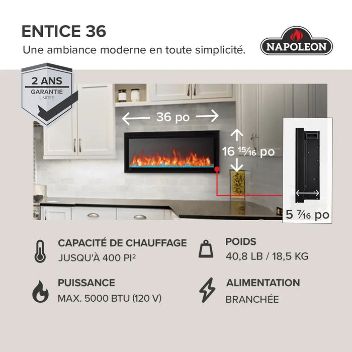 Napoleon Entice Series Wall-Hanging Electric Fireplace Napoleon Hearth Dreamwood Living