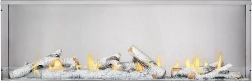 Napoleon Galaxy™ 62 Built-in Outdoor Gas Fireplace - Natural Gas Napoleon Hearth