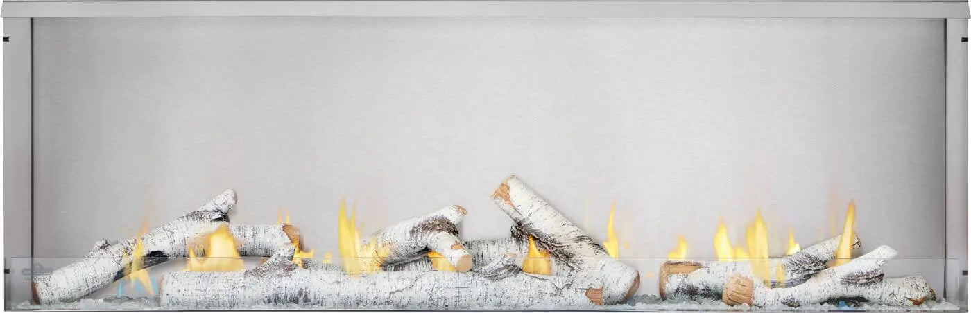 Napoleon Galaxy™ 62 Built-in Outdoor Gas Fireplace - Natural Gas Napoleon Hearth