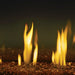 Napoleon Glass & Embers Gas Fireplace Media Kit Napoleon Hearth Dreamwood Living