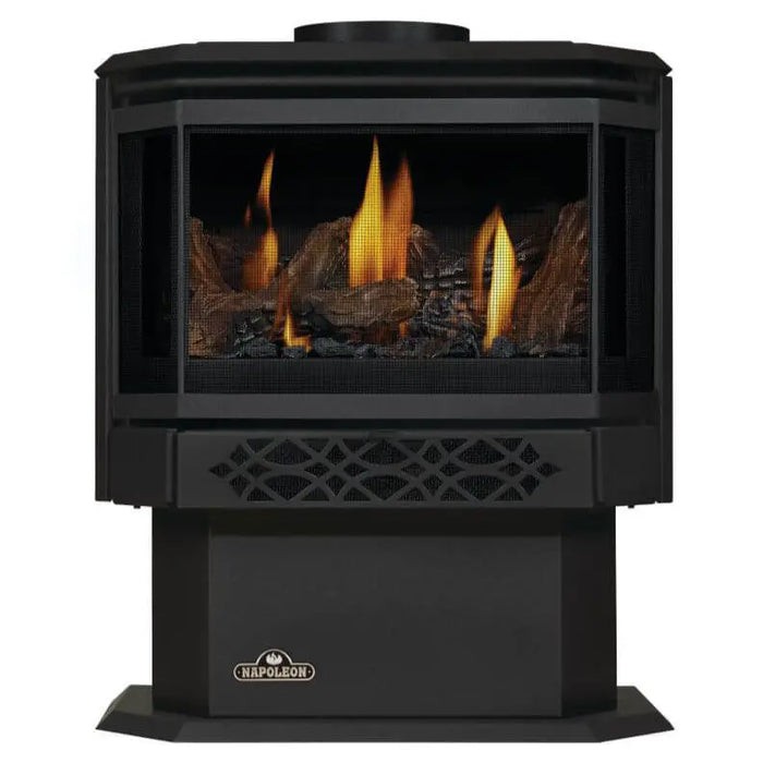 Napoleon Haliburton Black Direct Vent Gas Stove - Dreamwood Living
