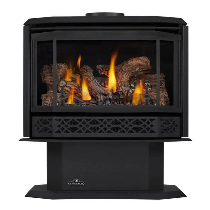 Napoleon Havelock Black Direct Vent Gas Stove Napoleon Hearth Dreamwood Living