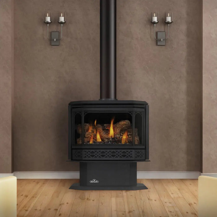 Napoleon Havelock Black Direct Vent Gas Stove Napoleon Hearth Dreamwood Living