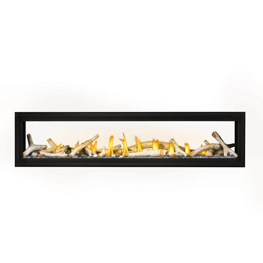 Napoleon Luxuria 74" See-Through Direct Vent Gas Fireplace - see-through front view with birch logs