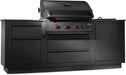 Napoleon OASIS™ 300 Outdoor Kitchen, Built-in 700 Series 32 Napoleon