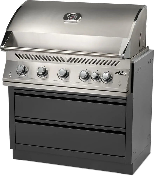 Napoleon OASIS® 42" x 24" Stainless Steel Countertop for 38" Grill Head Napoleon Dreamwood Living