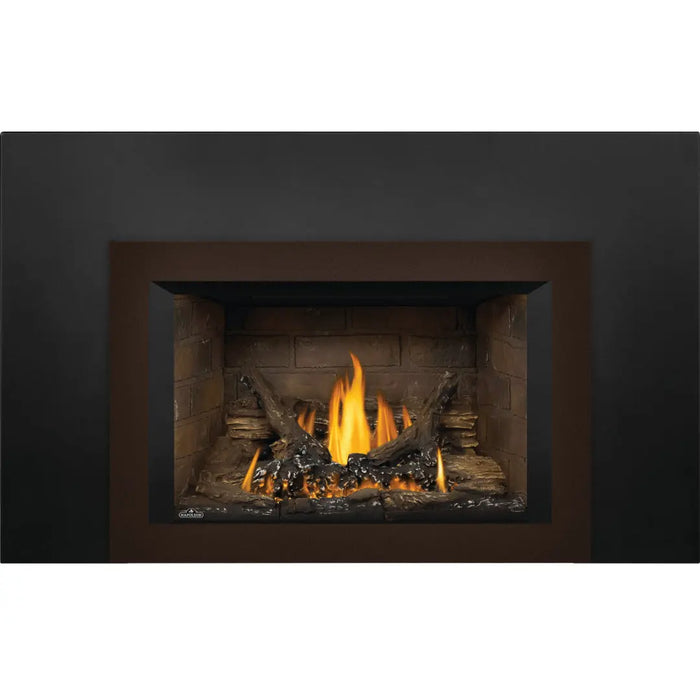 Napoleon Oakville 3 Direct Vent Gas Insert Napoleon Hearth Dreamwood Living