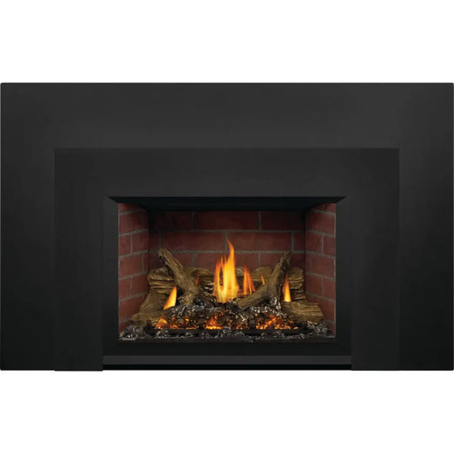Napoleon Oakville X3 Direct Vent Gas Fireplace Insert Napoleon Hearth Dreamwood Living