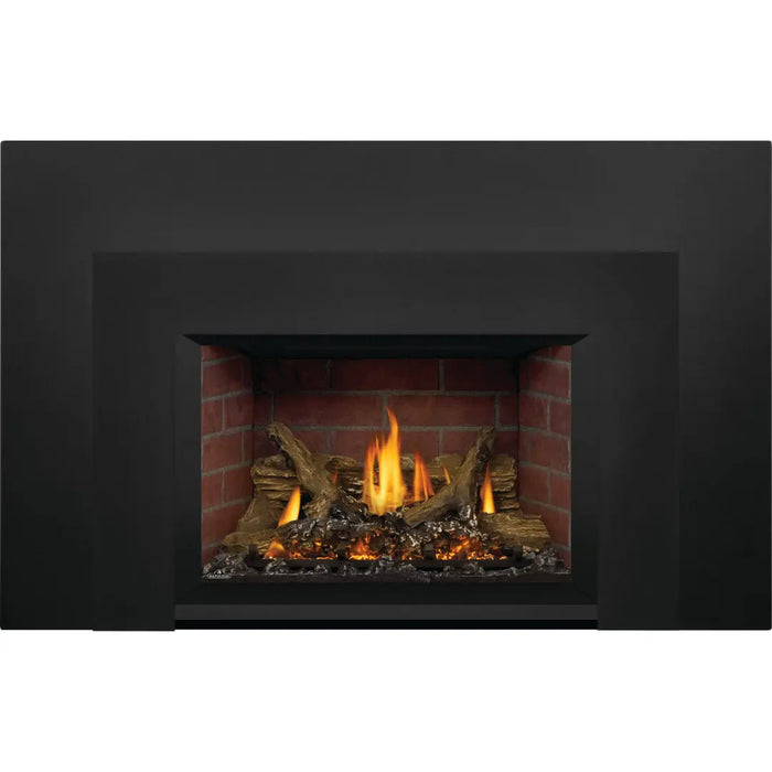 Napoleon Oakville X3 Direct Vent Gas Fireplace Insert Napoleon Hearth Dreamwood Living