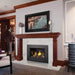 Napoleon Oakville X3 Direct Vent Gas Fireplace Insert Napoleon Hearth Dreamwood Living