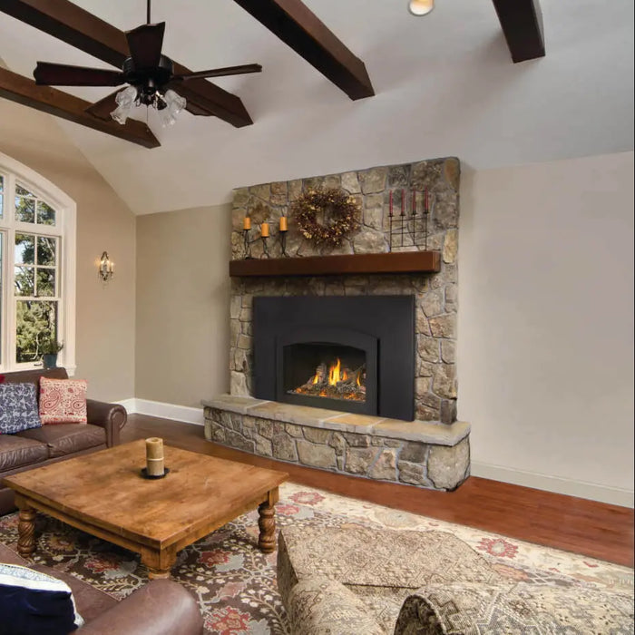 Napoleon Oakville X3 Direct Vent Gas Fireplace Insert Napoleon Hearth Dreamwood Living