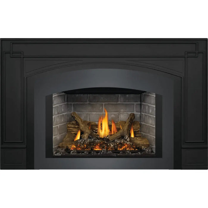 Napoleon Oakville X3 Direct Vent Gas Fireplace Insert Napoleon Hearth Dreamwood Living