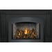 Napoleon Oakville X3 Direct Vent Gas Fireplace Insert Napoleon Hearth Dreamwood Living
