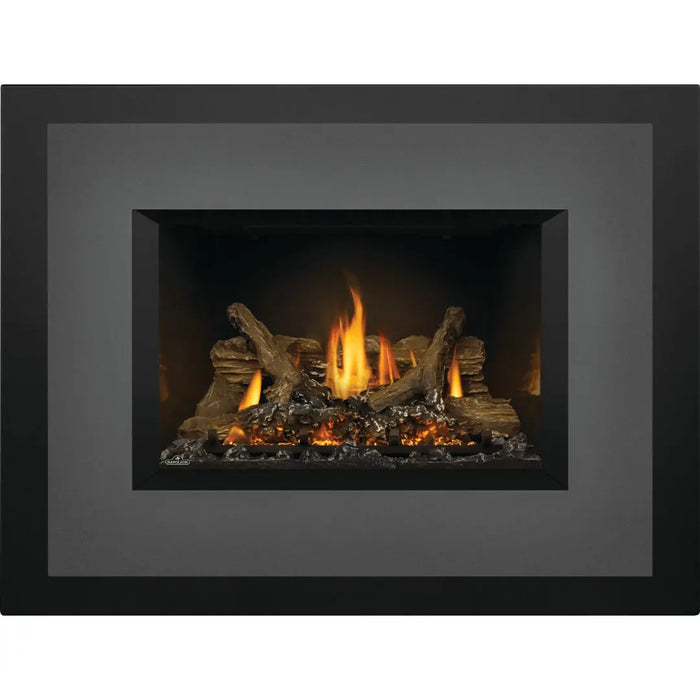Napoleon Oakville X3 Direct Vent Gas Fireplace Insert Napoleon Hearth Dreamwood Living