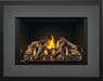Napoleon Oakville X4 gas fireplace insert, large charcoal face with porcelain reflective panels