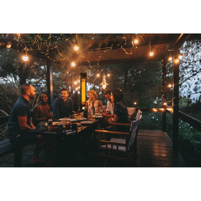 Napoleon Phantom Freestanding Outdoor Electric Infrared Heater
